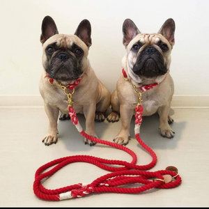 the perfect leash ~ collar set
