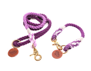 Purple Ombré Dog Collar
