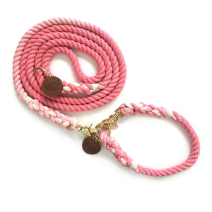 Pink Ombré Dog Leash